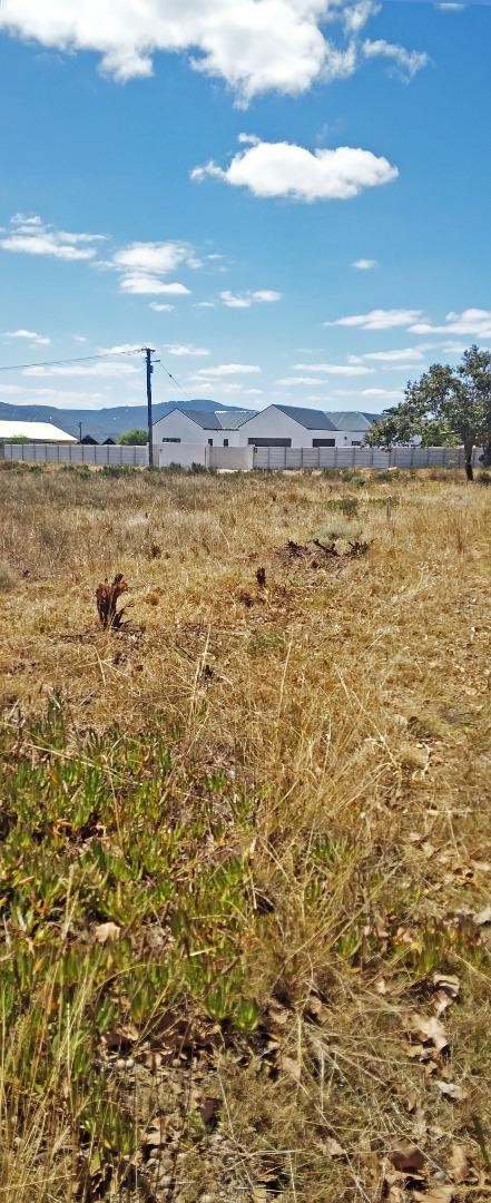 0 Bedroom Property for Sale in Fisherhaven Western Cape